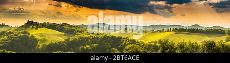 südsteirische Weinbaulandschaft, nahe Gamlitz, Österreich, Eckberg, Europa. Blick auf die Weinberge von der Weinstraße im Frühling. Stockfoto