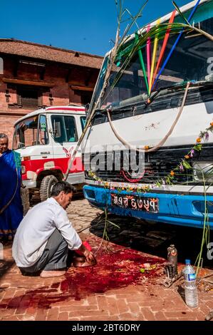 Kathmandu, Bhaktapur, allgemeine Straßenszene während des Hindu-Festivals von Bada Dasain, wenn viele Ziegen als göttliche Opfer für Familie und Eigentum für das Jahr vor uns schlachten Stockfoto