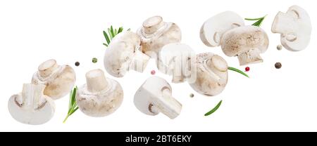 Sammlung fallender Pilze, Champignons isoliert auf weißem Hintergrund Stockfoto