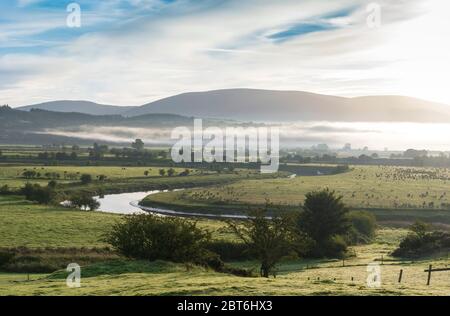 River Cree schlängelt sich am nebligen Morgen vorbei an Carty Port, Newton Stewart, Machars of Galloway Stockfoto