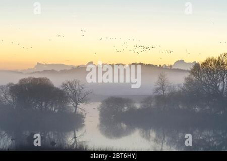 Blick auf Threave Nature bei Sonnenuntergang im Winter mit Vogelwelt Stockfoto