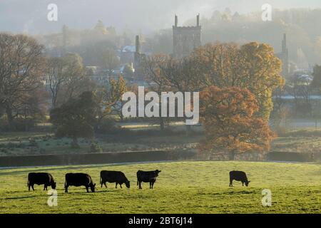 Sweetheart Abbey in den frühen Morgen herbstlichen Nebel Stockfoto