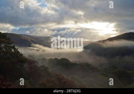 Morgennebel am Loch Trool, Galloway Forest Park Stockfoto