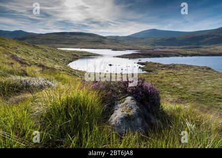 Blick auf Loch Neldricken und die Heather-Klippe mit Ben Yellary, Galloway Forest Park Stockfoto