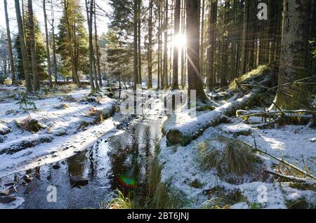 Kennick Burn und Forstwirtschaft von Laurieston im Winter Schnee Stockfoto