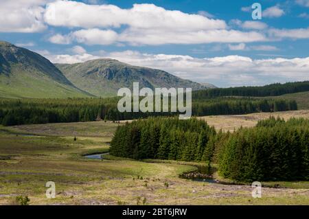 Galloway Forest Park auf dem Weg zum Hügel des Busches mit Dungeon Hills in der Ferne Stockfoto