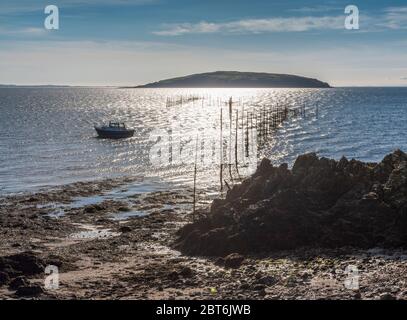 Hestan Island und Lachsstachelnetze aus Balcary, Auchencairn Stockfoto
