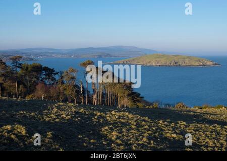 Schotten iPines und Blick auf Hestan Island von Heughs von Balcary Stockfoto