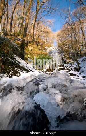 Die Pulhowan Burn im Wood of Cree Nature Reserve im tiefen Winter mit Eis und Sonnenschein Stockfoto