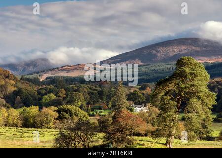 Cairnsmore von Fleet View vom Kirroughtree Forest bei Stronord Stockfoto