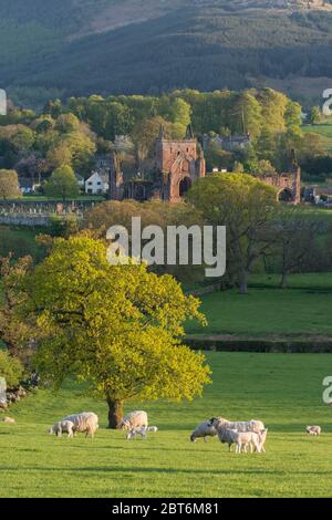 Sweetheart Abbey, New Abbey, Dumfries, Nithsdale Stockfoto