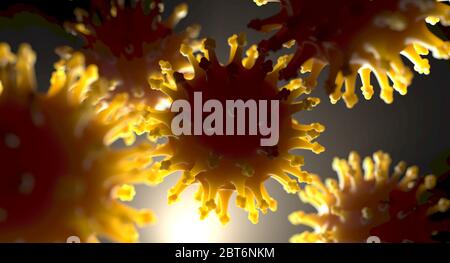 Eine mikroskopische Nahaufnahme von hintergrundbeleuchteten Coronavirus-Partikeln mit leuchtend gelben Kanten - 3D-Rendering Stockfoto