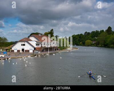 Reading Rowing Club, Themse, Reading, Berkshire, England, Großbritannien, GB. Stockfoto