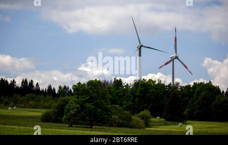 Ein einziger grüner Baum im Vordergrund, vor einem Wald, im Hintergrund 2 Windturbinen Stockfoto