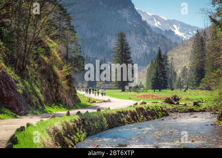 Blick auf Koscieliska Tal in Tatra, Polen Stockfoto