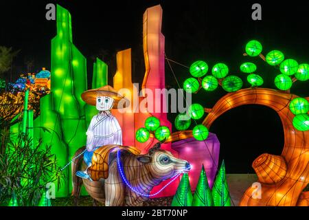 Nizza, Frankreich, 5. Januar 2020 – Bunte chinesische Laternen zeigen beim Festival „Baie des lumieres“ im Parc Phoenix Stockfoto