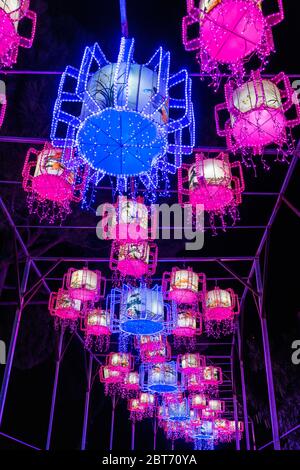 Nizza, Frankreich, 5. Januar 2020 – Bunte chinesische Laternen zeigen beim Festival „Baie des lumieres“ im Parc Phoenix Stockfoto