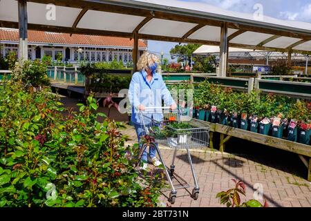 Frau, die eine Maske trägt, in einem Dobbies Garden Center in Brighton einkaufen, nachdem die Lockdown-Maßnahmen in England und Teilen Großbritanniens während der COVID-19-Pandemie zum ersten Mal gelockert wurden Stockfoto