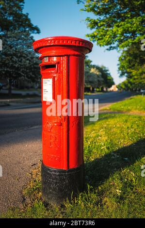 Ikonische rote britische Royal Mail Briefkasten in der Abendsonne auf einer ruhigen Straße mit einem grünen Baum gesäumten Rand Stockfoto
