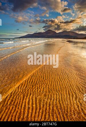 Die starke untergehende Sonne erzeugt einen schönen goldenen Guss auf die sanften Wellen, die am Murlough Beach in der Dundrum Bay in der Grafschaft Down Northern Ireland liegen. Stockfoto