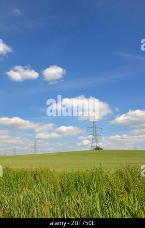 Elektrizität über Stromleitungen in grünen Feldern, Warwickshire / Leicestershire, Midlands, Großbritannien Stockfoto