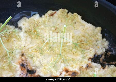 Holunderblüten in Pfannkuchen Teig immer in der Pfanne frittiert, Stockfoto