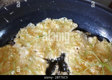 Holunderblüten in Pfannkuchen Teig immer in der Pfanne frittiert, Stockfoto