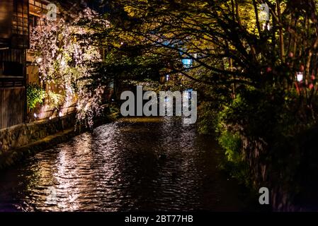 Kyoto, Japan Gion mit Kirschblüten-Sakura-Bäumen im Frühjahr mit Blumen im Park und beleuchtete Lichtreflexion in dunkel-schwarzer Nacht auf dem Flusskanal Stockfoto