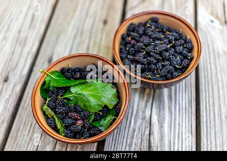 Schwarze reife Maulbeeren Beeren Früchte mit grünen Blättern in Schalen aus Gartenbauernteernte auf Holztisch gepflückt Stockfoto