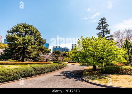 Tokyo, Japan National Garden Park Road mit Blick auf Wolkenkratzer auf dem Weg in Imperial Palace Gelände während des Frühlings Tag in der Innenstadt mit Stadtbild weiten angl Stockfoto