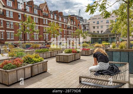 Brown Hart Gardens ist ein erhöhter terrassenförmiger Garten in Mayfair, der 1906 über der alten Duke Street-Stromumspannstation Mayfair, London W1 erbaut wurde Stockfoto