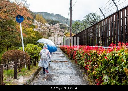 Kyoto, Japan Kirschblüten Sakura Blumen Bäume im Frühjahr mit Menschen zu Fuß auf der Straße in der Nähe Philosopher's Path Garten Park tragen Ponchos und umbre Stockfoto