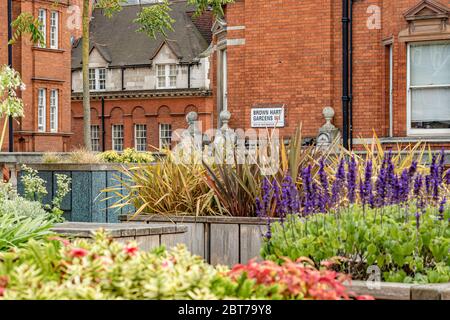 Brown Hart Gardens ist ein erhöhter terrassenförmiger Garten in Mayfair, der 1906 über der alten Duke Street-Stromumspannstation Mayfair, London W1 erbaut wurde Stockfoto