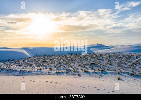 White Sands Dünen National Monument Hügel aus Gips Sand und Sträucher Pflanzen in New Mexico mit Orgel Berge am Horizont während bunten gelben Sonnenuntergang Stockfoto