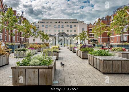 Brown Hart Gardens ist ein erhöhter terrassenförmiger Garten in Mayfair, der 1906 über der alten Duke Street-Stromumspannstation Mayfair, London W1 erbaut wurde Stockfoto