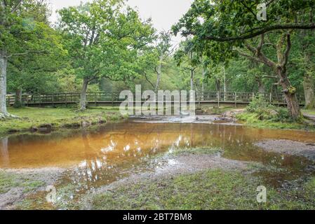 Puttles Bridge ist eine Fußgängerbrücke, die Ober Water im New Forest, Großbritannien überquert Stockfoto