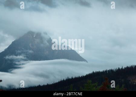 Athabasca Gletscher bedeckt mit Wolken, Nahaufnahme Stockfoto