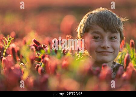 Glücklicher Junge, der über Blumen im eclover Feld schaut. Optimistische Szene. Stockfoto