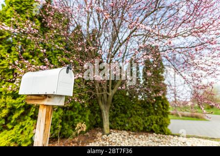 Weißer Briefkasten vor einem Haus neben der Auffahrt mit Frühlingsbäumen und grünen immergrünen Bäumen Stockfoto
