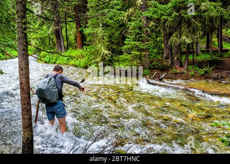 Mann überquert Fording River auf Conundrum Creek Trail in Aspen, Colorado im Sommer 2019 in Waldwäldern mit starker Strömung und tiefem Wasser Stockfoto