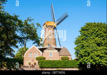 Windmühle De Hoop (die Hoffnung) auch 't Jach genannt und drei Häuser an einem sonnigen Nachmittag gegen einen blauen Himmel. Culemborg, Gelderland, Niederlande. Stockfoto