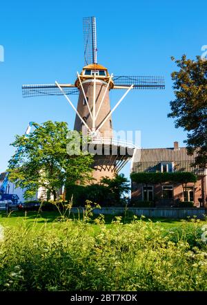 Windmühle De Hoop (die Hoffnung) auch 't Jach an einem sonnigen Nachmittag gegen einen blauen Himmel genannt. Feld des blühenden wilden Kerbils (Anthriscus sylvestris). Culem Stockfoto