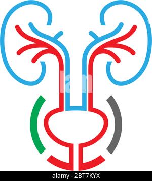 Urologie Logo, Niere Logo Symbol Gesundheit Illustration Stock Vektor
