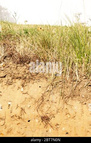 Schneiden Sie in die Erde mit dem Gras und unter dem Boden Stockfoto