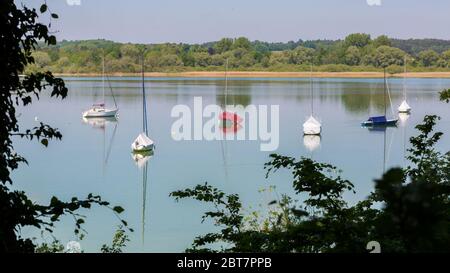 Panorama mit ankenden Segelbooten am Ammersee. Blätter von Bäumen im Vordergrund. Wald auf der anderen Seite des Sees. Stockfoto