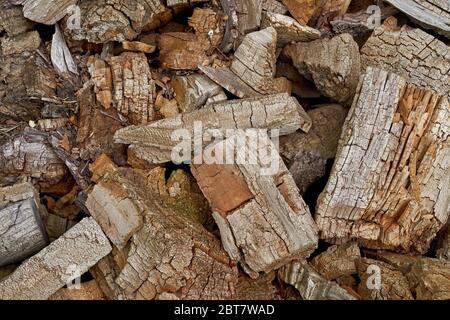 Ein Haufen totes Holz Stockfoto