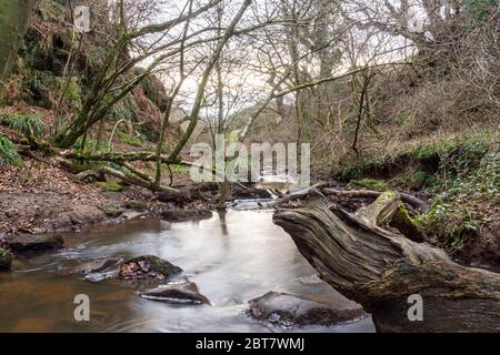 Routenführung Zum Lynn Wasserfall Stockfoto