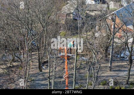 Unerkannte Arbeiter Kletterer schneidet die trockenen Äste durch Kettensäge auf dem riesigen Baum. Blick von oben. Stockfoto