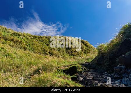 Naturlandschaft des Xiaoyoukeng im Yangmingshan Nationalpark, Taipei, Taiwan Stockfoto