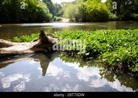 Landschaft mit Wolken in einem Teich reflektiert Stockfoto
